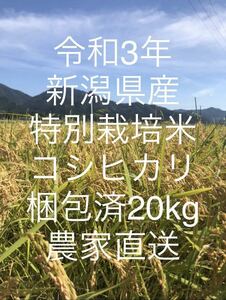 【新米】令和3年！新潟県産特別栽培米コシヒカリ玄米！20kg！農家直送！
