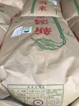 【新米】令和3年！新潟県産特別栽培米コシヒカリ玄米！20kg！農家直送！_画像3