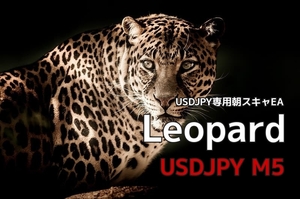 【試用版】FX自動売買ツール（EA）「Leopard USDJPY M5」高頻度取引スキャルピング　MT4 システムトレード 副業