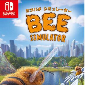 Nintendo Switch ニンテンドースイッチ