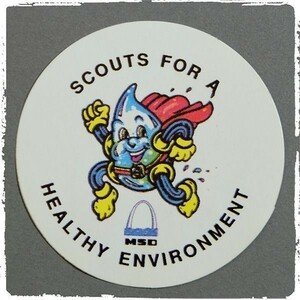 BF129 ビンテージ ステッカー シール パッチ ロゴ エンブレム SCOUTS FOR A HEALTHY ENVIRONMENT ボーイスカウト アメリカ BSA
