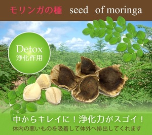 モリンガ 100g (約250粒) オーガニック種　スーパーフード　デトックス　Moringa 天然マルチビタミン　アミノ酸