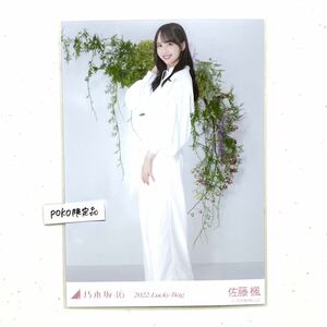 乃木坂46 公式グッズ 生写真 1枚 佐藤楓　ヒキ　2020年 luckybag 福袋 限定品 (オールホワイトコーデ 福袋A