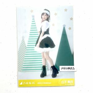 乃木坂46 公式グッズ 生写真 1枚 山下美月　ヒキ　2021年 12月 Christmas クリスマス サンタ 2020年 (luckybag 福袋 限定品 福袋