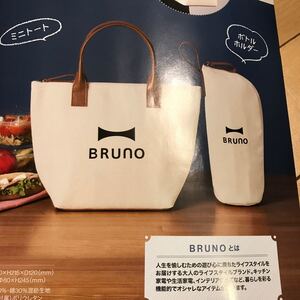 保冷、保温ミニトートバッグとボトルホルダーのセット