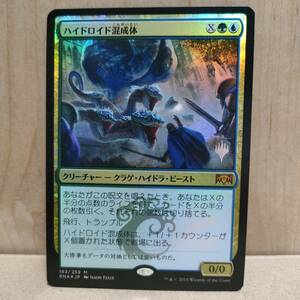 ★☆MTG　【プロモ】【FOIL】【日】ハイドロイド混成体/Hydroid Krasis[金MR]【RNA】★☆ 全ての商品同梱可能