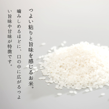 米 お米 10kg 新米 コシヒカリ 送料無料 玄米 白米 特別栽培米 令和3年産 山形県産_画像2