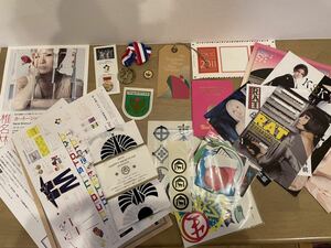  Tokyo . change Shiina Ringo fan Club update privilege Live goods sticker hand ... Flyer etc.....
