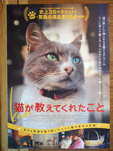  movie leaflet [ cat . explain .....] documentary 2016 year pavilion name sine Monde 