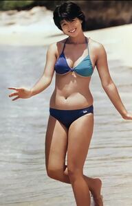 ヤフオク 河合奈保子ビキニ写真 の落札相場 落札価格 ヤフオク 河合奈保子ビキニ写真 の落札相場 落札価格