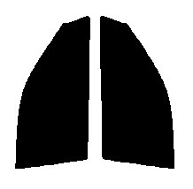 スモーク　26％ 運転席、助手席　ディアマンテ F3#　カット済みフィルム　国産