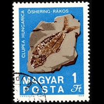 郵便切手 ハンガリー MAGYAR POSTA [ケヤキの葉/硫カドミウム方解石閃亜鉛鉱結晶/化石魚/水晶/アンモナイト] Stamps Fossils and Minerals_画像5