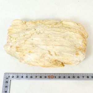 鉱石 標本 鉱物 詳細不明 原石 約18×12×5.5cm 総重量約1kg コレクション品■XN080s■