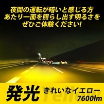 フォグランプ 黄色 イエロー ヘッドライト LED バルブ H8 H9 H11 H16 爆光 7600lm 3000K 36W 防水 防塵 汎用 明るい 車 高輝度 IP68 057_画像6