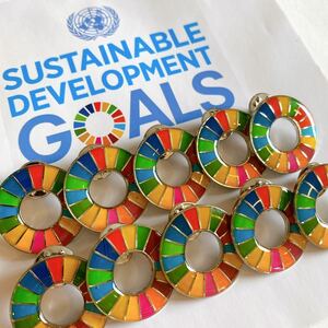 【国連本部正規品】SDGs ピンバッジ　10点セット【特別奉仕品】