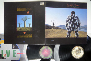 英 PINK FLOYD/DELICATE SOUND OF THUNDER/EMI EQ 5009