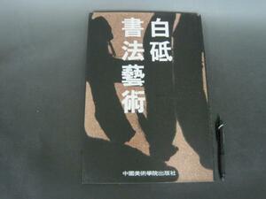 白砥　書法芸術　大型本　署名・落款印　中国書籍　送料無料