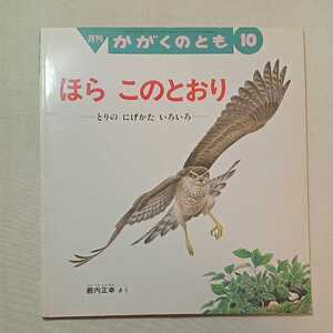 zaa-m1b♪ほら このとおり とりの にげかた いろいろ 薮内 正幸 作 かがくのとも 1998年10月号