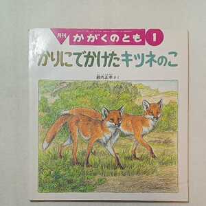 zaa-m1b♪かりに でかけた キツネのこ 　薮内 正幸 作　かがくのとも　1995年1月号