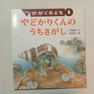 zaa-m1b♪やどかりくんの　うちさがし 　今福 道夫 文 / 金尾 恵子 絵　かがくのとも　1998年8月号