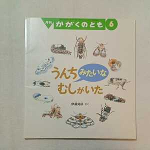 zaa-m1b♪うんちみたいな むしがいた 伊藤 知紗 作 かがくのとも　2016年6月号