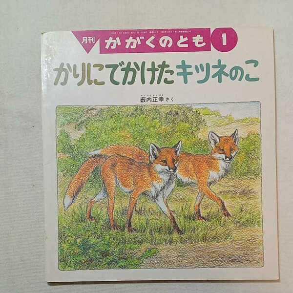 zaa-m1b♪かりに でかけた キツネのこ 薮内 正幸 作 かがくのとも　1995年1月号