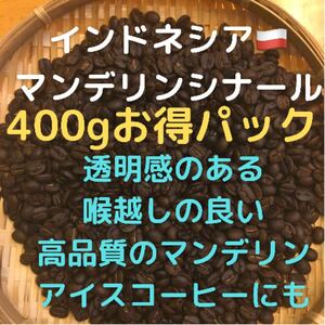 自家焙煎 インドネシア マンデリンシナール400g 豆又は粉 匿名配送