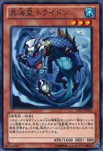 遊戯王 LTGY-JP033 真海皇トライドン 数量3