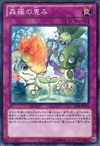 遊戯王 LVAL-JP073 森羅の恵み 数量3