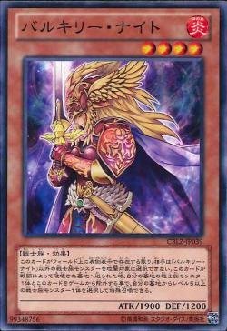 遊戯王 ヴァルキリー 300枚 まとめ売り 2025年最新】Yahoo!オークション -ヴァルキリー カード(遊戯王