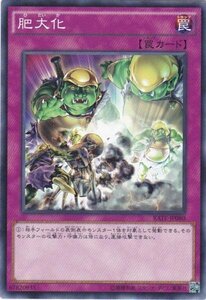 遊戯王 RATE-JP080 肥大化 ノーマルレア 数量3