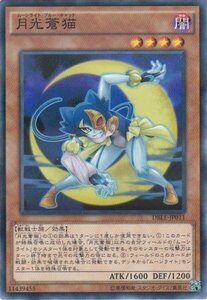 遊戯王 DBLE-JP011 月光蒼猫 ノーマルパラレル 数量3