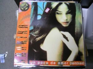 ●レア！！UKSOUL R&B HOUSE 12”●SHAKIRA/UN POCO DE AMOR(REMIX)