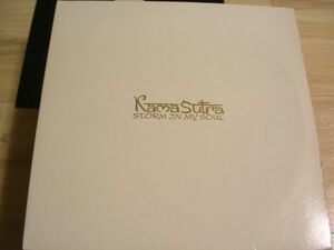 ●CLUB HOUSE12”●KAMASUTRA/STORM IN MY SOUL