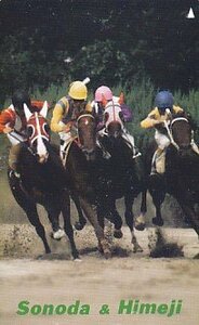 *. rice field horse racing Himeji horse racing telephone card 