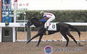 ●ウインディローズ 岡部幸雄騎手 JOYサラブレッドクラブテレカ