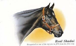 * real car large horse racing telephone card 