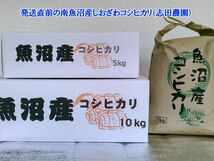 少し小粒な南魚沼産コシヒカリ無洗米(乾式)5kg令和3年産_画像6
