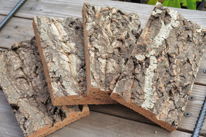 5個　特殊コルク　10×20ｃｍ（厚約15-20ｍｍ）洋蘭　原種　チランジア　エアープランツ　熱帯植物　ラン　コルク　樹皮　