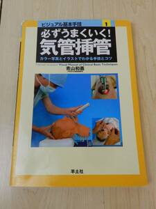 【羊土社】ビジュアル基本手技1 必ずうまくいく! 気管挿管 カラー写真とイラストでわかる手技とコツ ライン有 中古品 JUNK 一切返品不可で