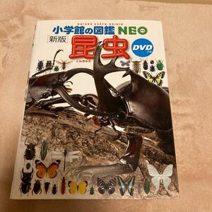 小学館の図鑑NEO 新版　昆虫　DVDつき