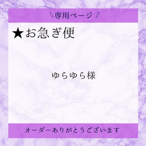 ニュアンスネイル 大人ネイル ネイルチップ ジェルネイル サイズ変更無料 付け爪