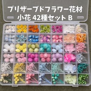 プリザーブドフラワー花材 小花42種 B