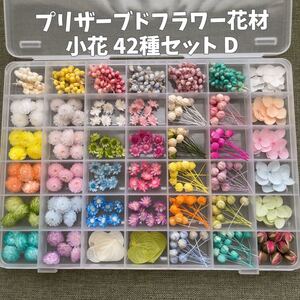プリザーブドフラワー花材 小花42種 D
