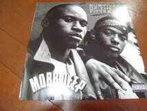 12インチ　　MOBB DEEP / SURVIVAL OF THE FITTEST_画像1