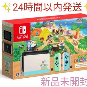 Nintendo Switch ニンテンドースイッチ本体 Nintendo ニンテンドースイッチ
