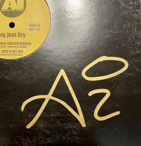 【 激レア コレクターズアイテム 】 Ai Cry,Just Cry Soul'd OUT Mix 収録 / (KH-R Club Mix) J-R&B 　デビューシングル CD-ROM付き