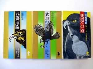 【南郷継正 3冊 セット】武道の理論 武道の復権 武道への道 / 南郷継正 三一書房 / 送料310円～