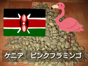 ケニアピンクフラミンゴ　コーヒー生豆　800g