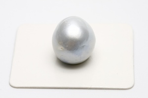 南洋白蝶真珠パールルース　15×13mm　シルバーグレーカラー